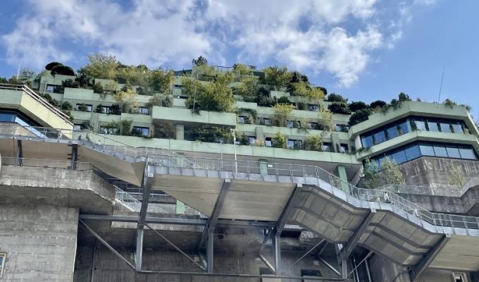 Grüner Bunker auf St. Pauli: Grüne Aussichtsplattform